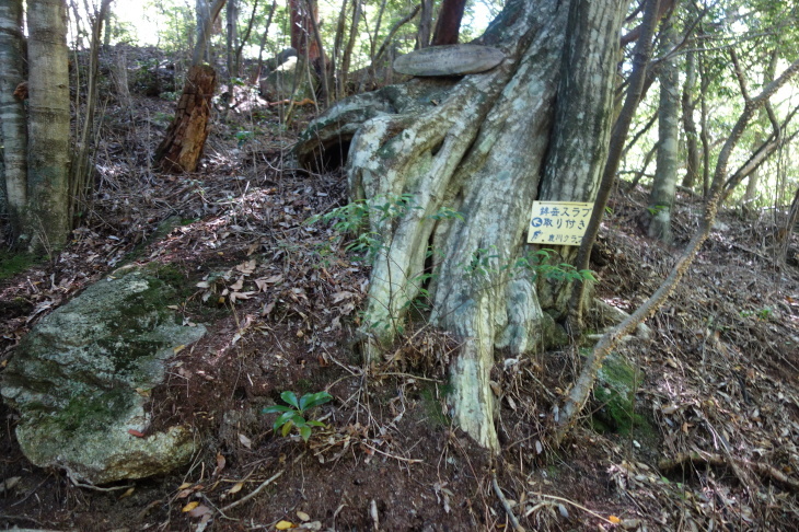 d0345153_20285837.jpg