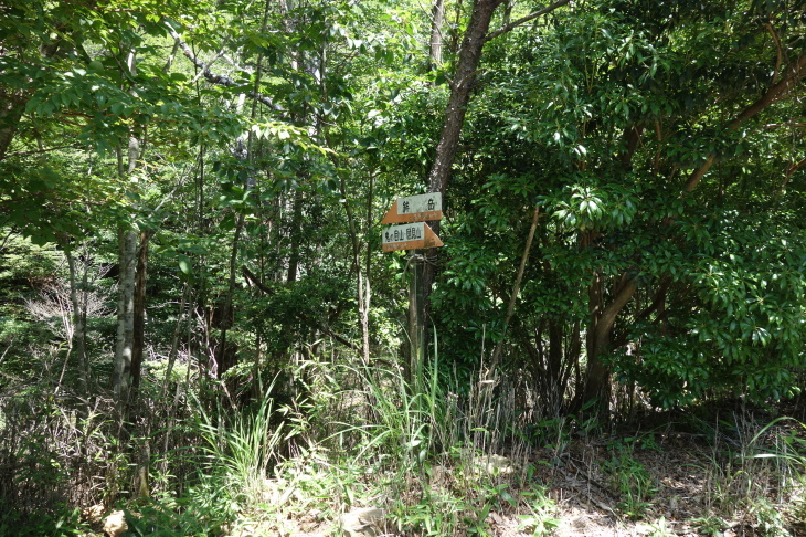 d0345153_20321976.jpg
