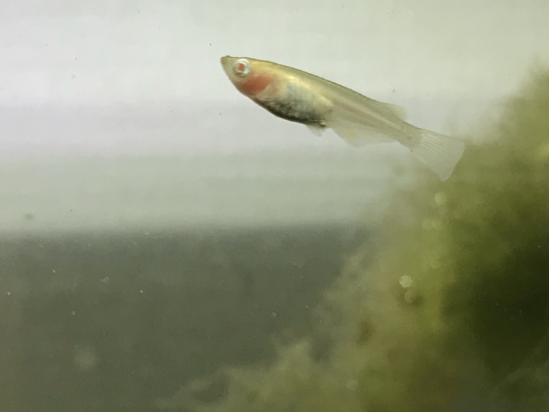 f0362053_15231693.jpeg