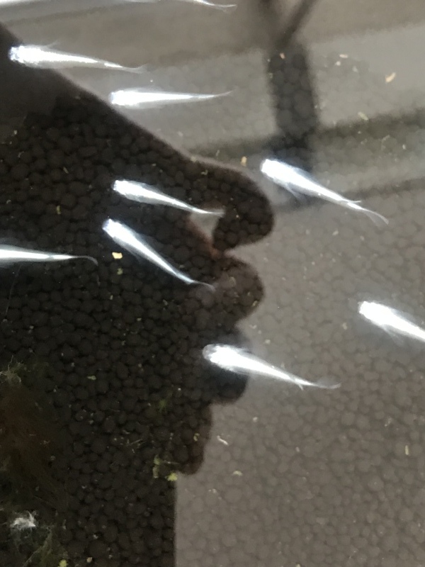 f0362053_15240845.jpeg