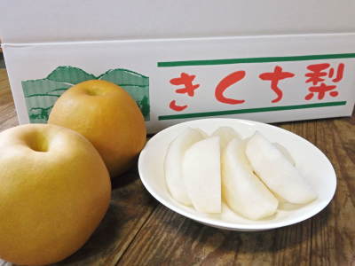 熊本県産!ジャンボ梨『新高』今まさに最旬!大好評販売中!くまもん箱の5kg入りは9月19日から出荷開始!_a0254656_17032276.jpg