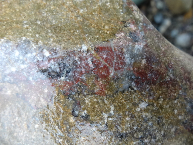 化石サンゴ16（赤い石灰岩＋今日の散歩）_d0171959_18402025.jpg