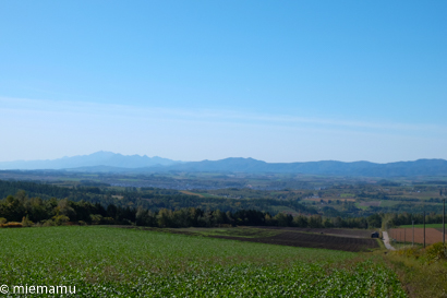 d0340565_20204047.jpg