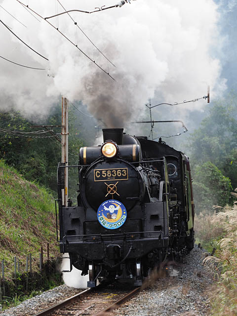 f0199866_20285712.jpg