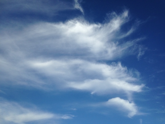 e0290872_19335670.jpg