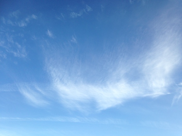 e0290872_19392280.jpg