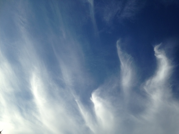 e0290872_19510768.jpg