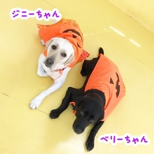 ハロウィンまでもう少し♪♪_f0357682_19094095.jpg