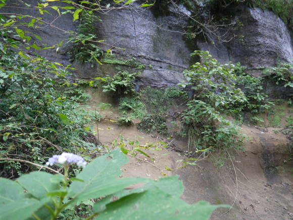 a0207593_11342384.jpg