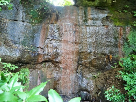 a0207593_11354189.jpg