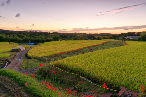 いつか観た光景_e0366896_22295075.jpg