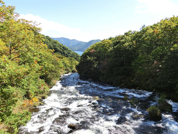 e0131399_23402312.jpg