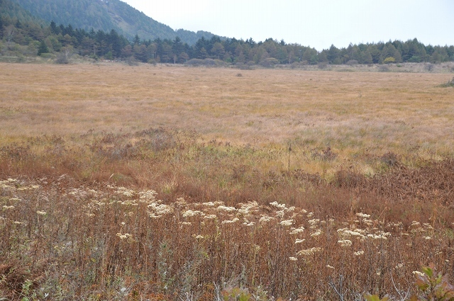 c0124100_15524724.jpg