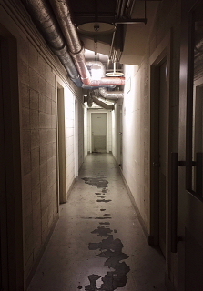 c0039501_10415341.jpg