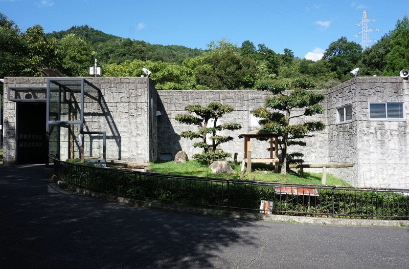 キクの生まれ故郷 安佐動物公園_a0306502_22305038.jpg