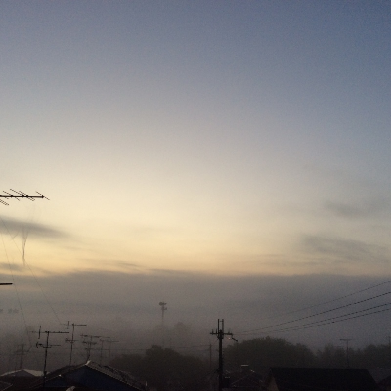 b0220002_12094066.jpeg