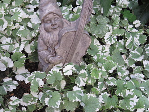 d0046702_06164119.jpg