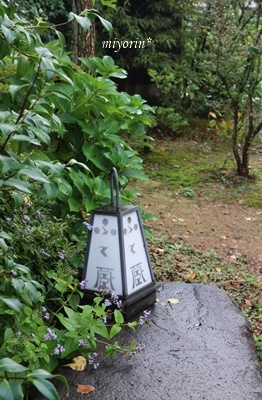 a0123003_07460073.jpg