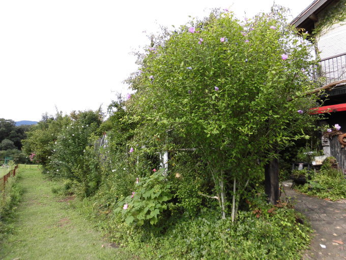 c0156104_22185610.jpg