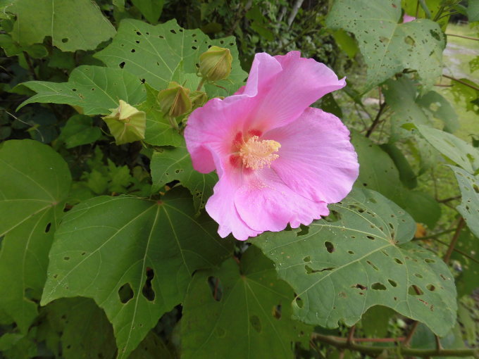 c0156104_22205045.jpg