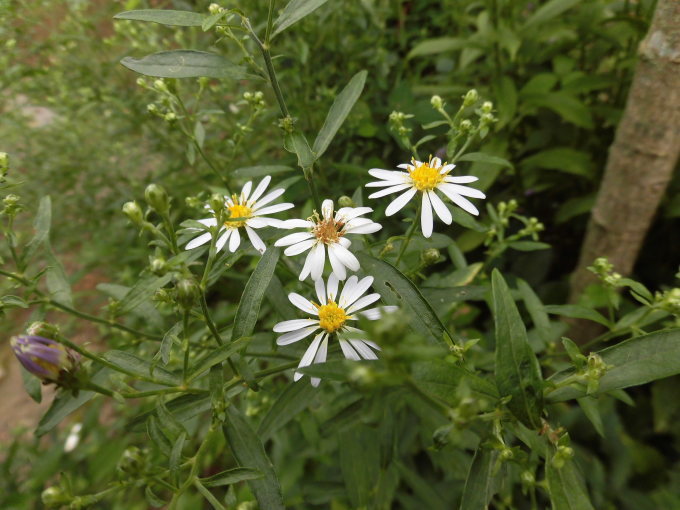 c0156104_22232037.jpg