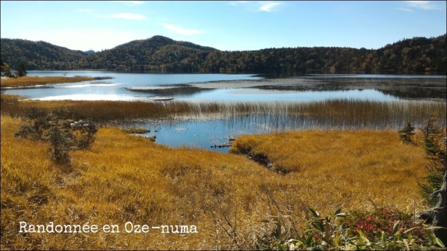 尾瀬沼（群馬県利根郡片品）_b0086909_23065382.jpg