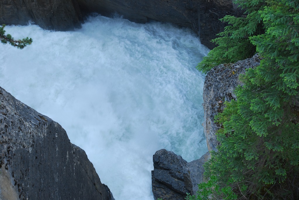 b0021211_11064739.jpg