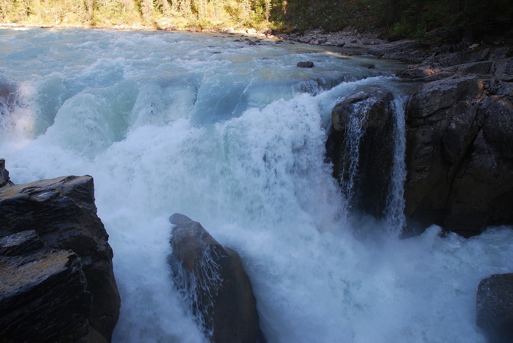 b0021211_11071116.jpg