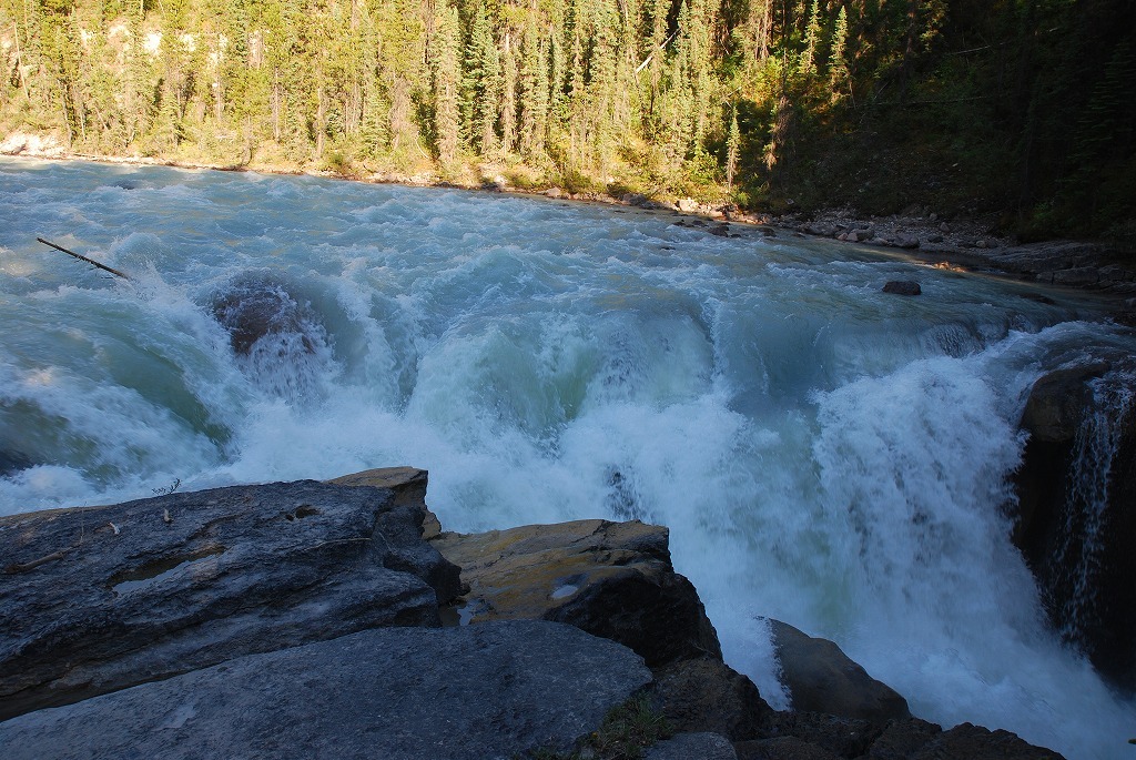 b0021211_11073676.jpg