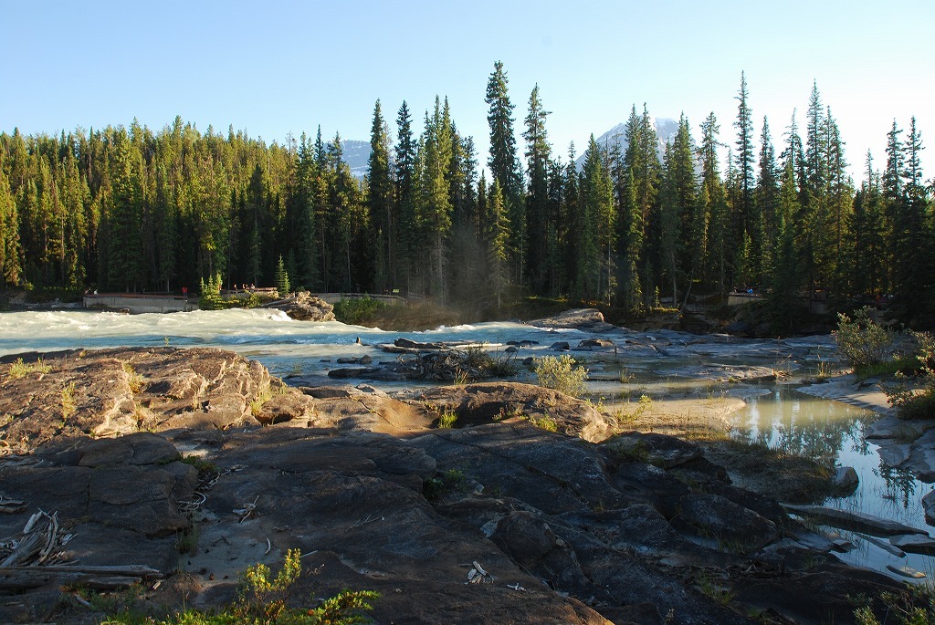 b0021211_11074847.jpg