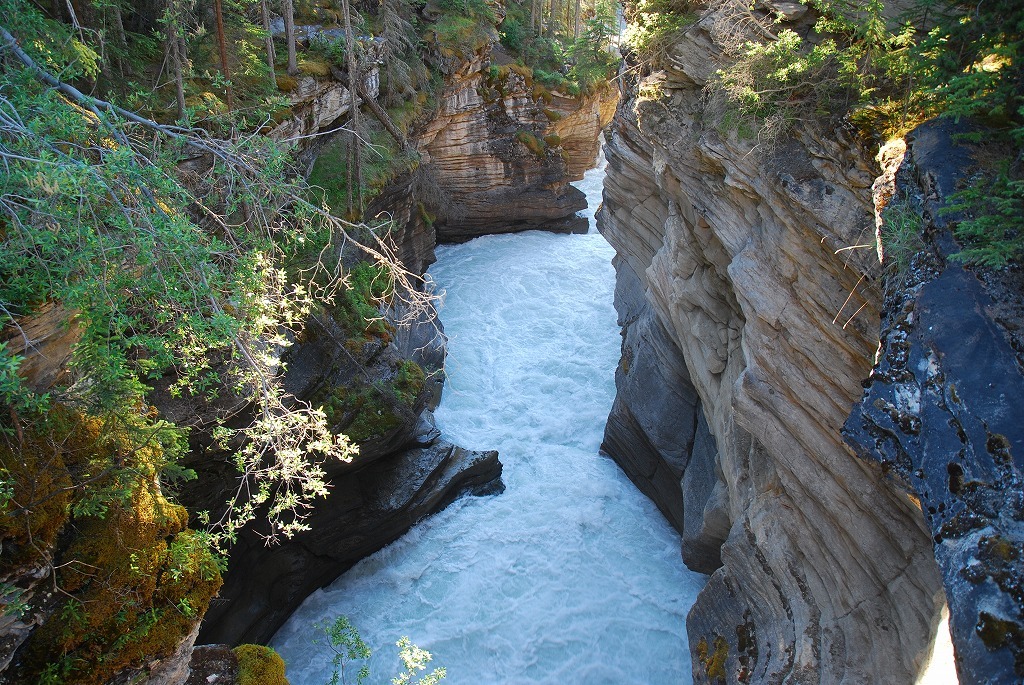 b0021211_11082290.jpg