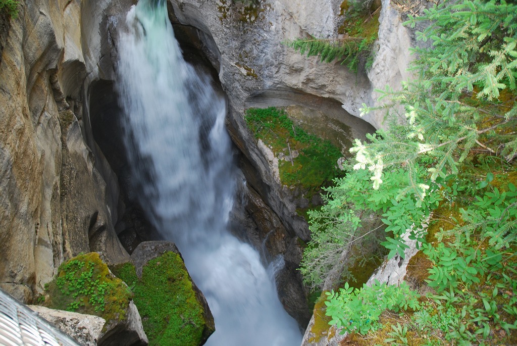 b0021211_17094255.jpg