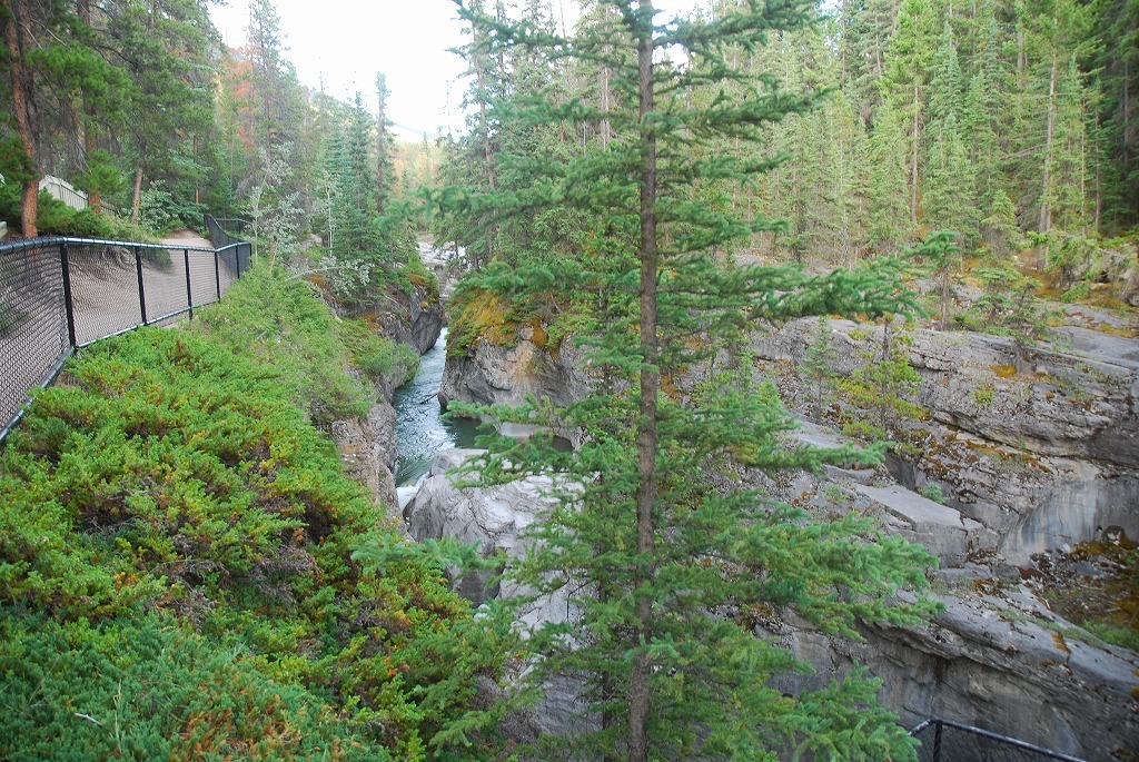 b0021211_17100757.jpg
