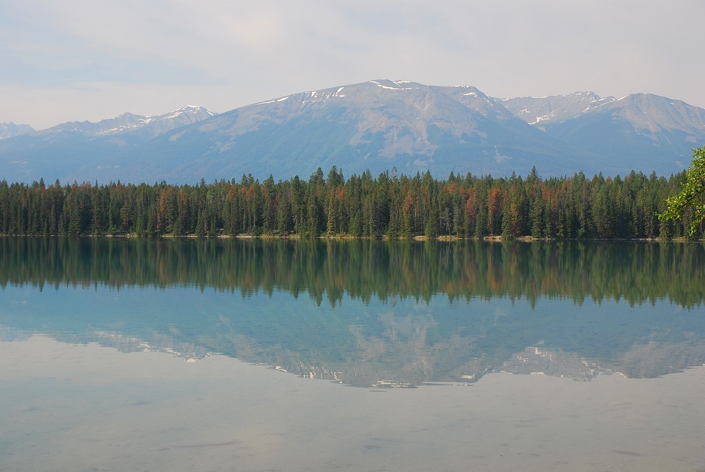 b0021211_17113799.jpg
