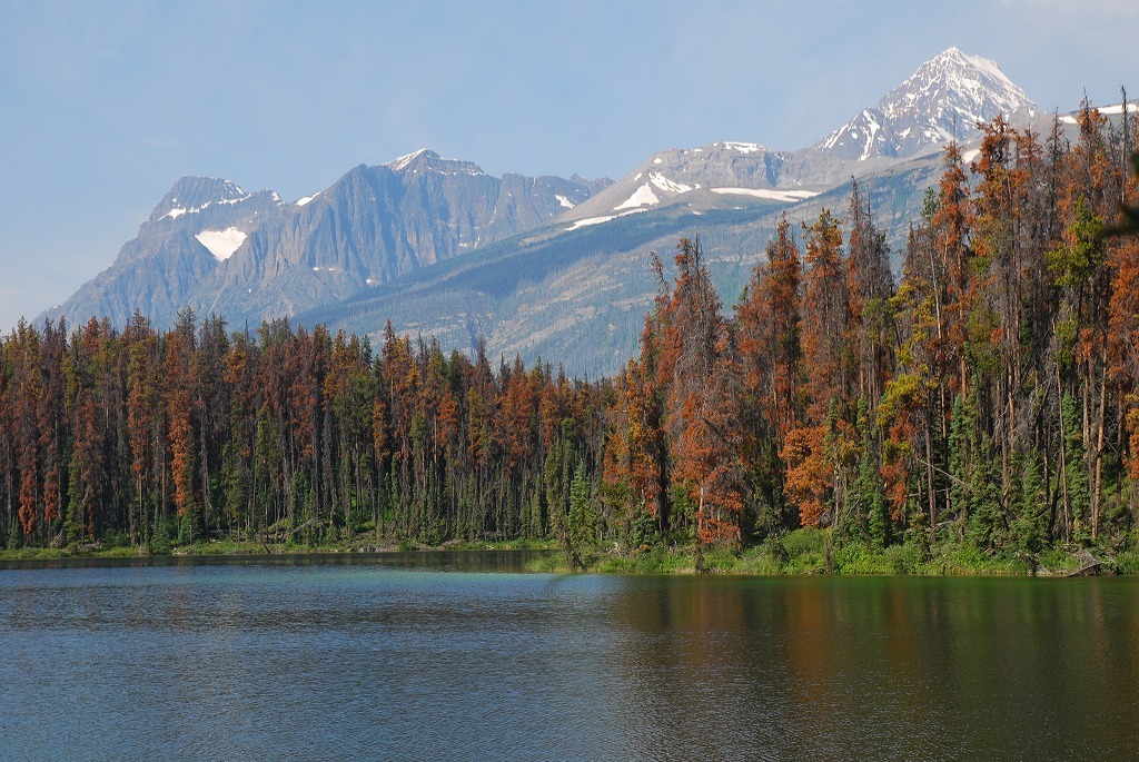 b0021211_17115668.jpg