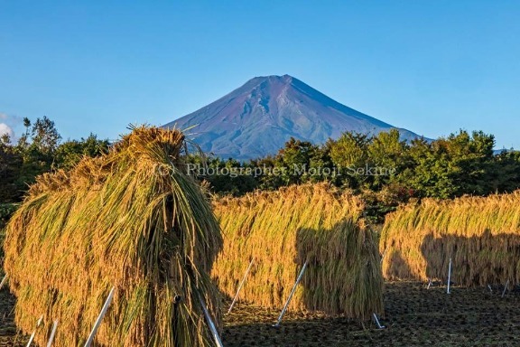 富士山とお米とお蕎麦_d0160611_06592926.jpg