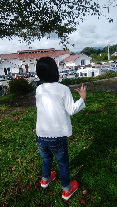 麺活　｢たんぽぽ亭｣_c0182012_14061921.jpg