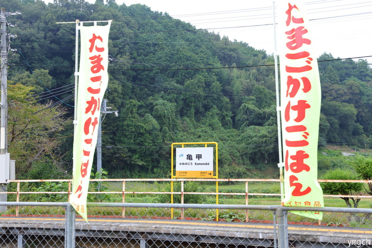 中国大返しツアー（食堂かめっち。）_f0157812_09553257.jpg