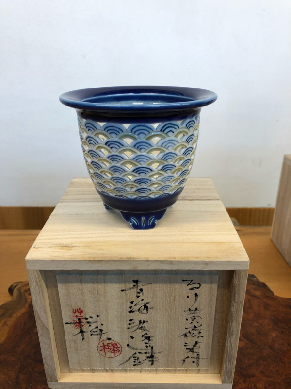 三橋さんの欅透かし鉢入荷 : □ サムライ オーキッド □ 富貴蘭