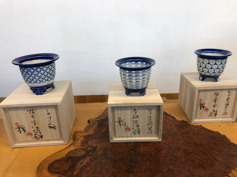 三橋さんの欅透かし鉢入荷 : □ サムライ オーキッド □ 富貴蘭