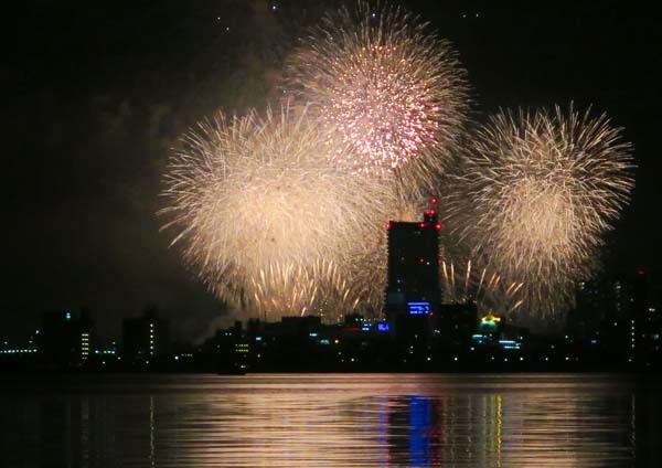 茨城県フラワーパークと土浦の花火。_f0147025_14205907.jpg