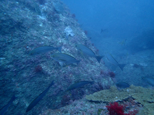 d0164831_15280151.jpg