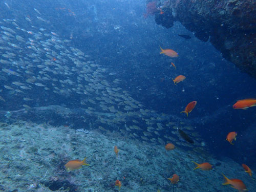 d0164831_15280214.jpg