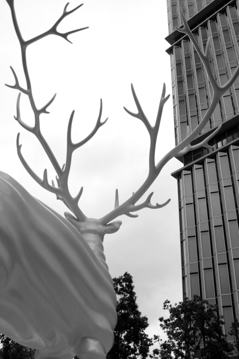 【東京ガーデンテラス紀尾井町】_f0348831_08333342.jpg