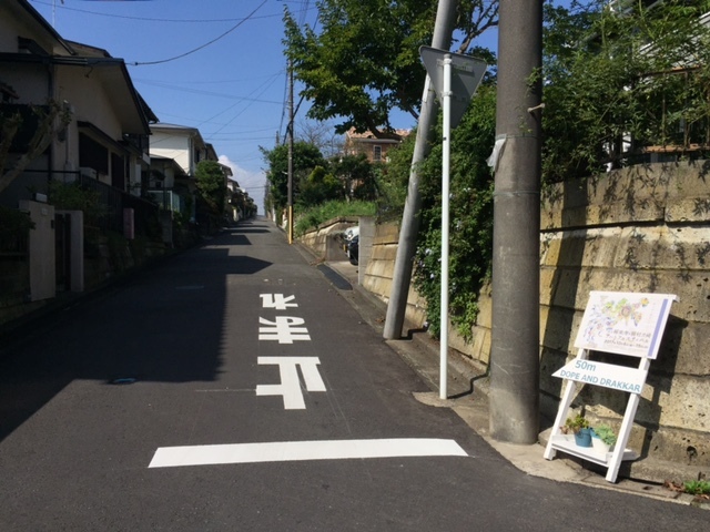 お天気の日曜日♪ フェスティバル3日目♪_d0108933_14321485.jpg