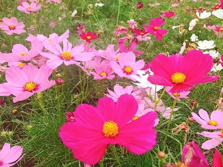 c0206342_07004364.jpg