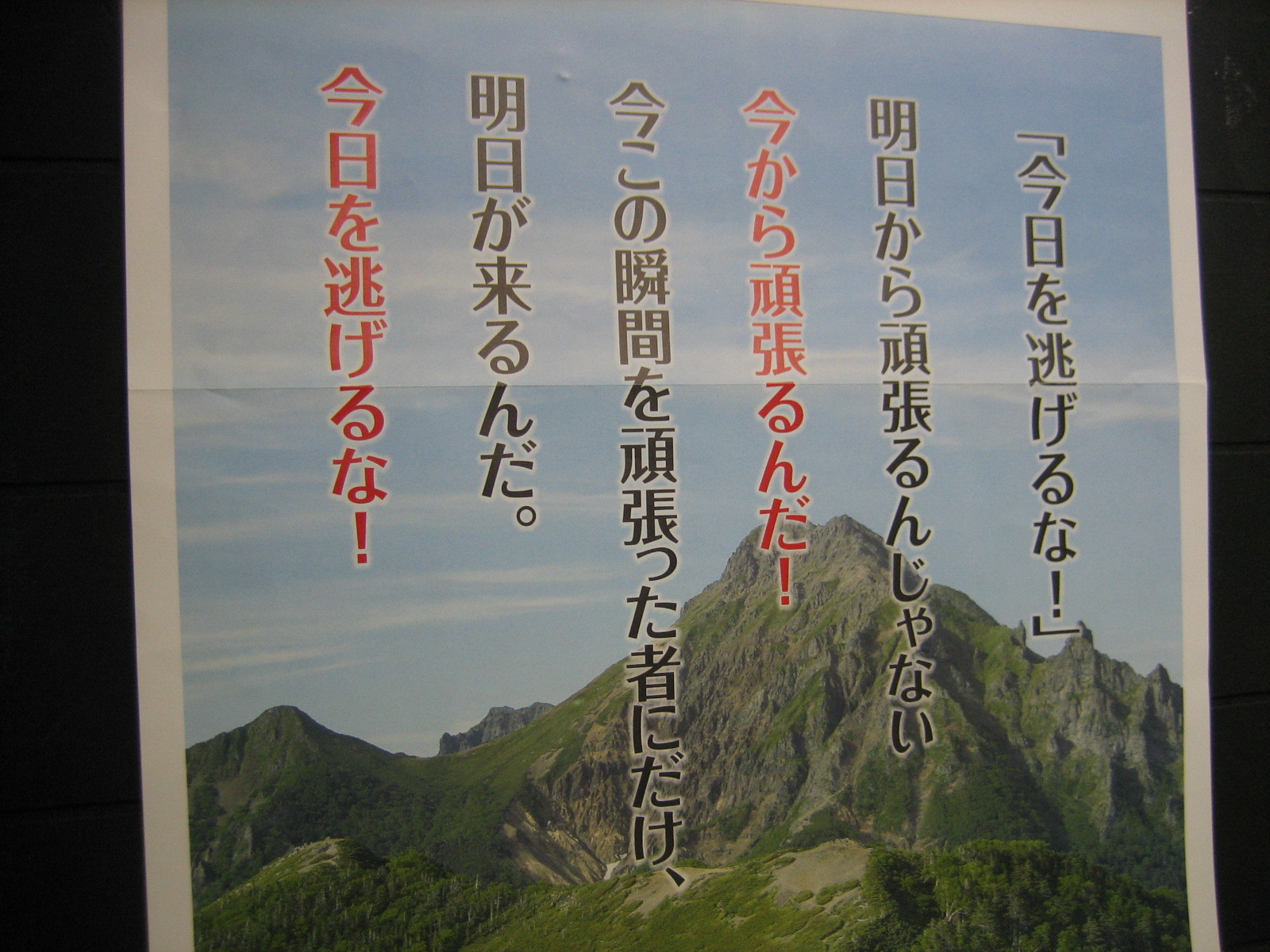 a0156054_05584575.jpg