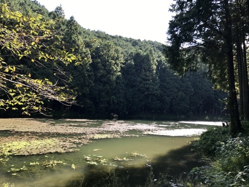 東武竹沢から小川町。官の倉山コース_c0089155_14042947.jpg