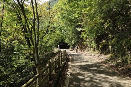 a0208560_17411578.jpg