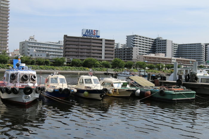 コスモス風に揺られて～しながわ花街道_d0152261_19133451.jpg